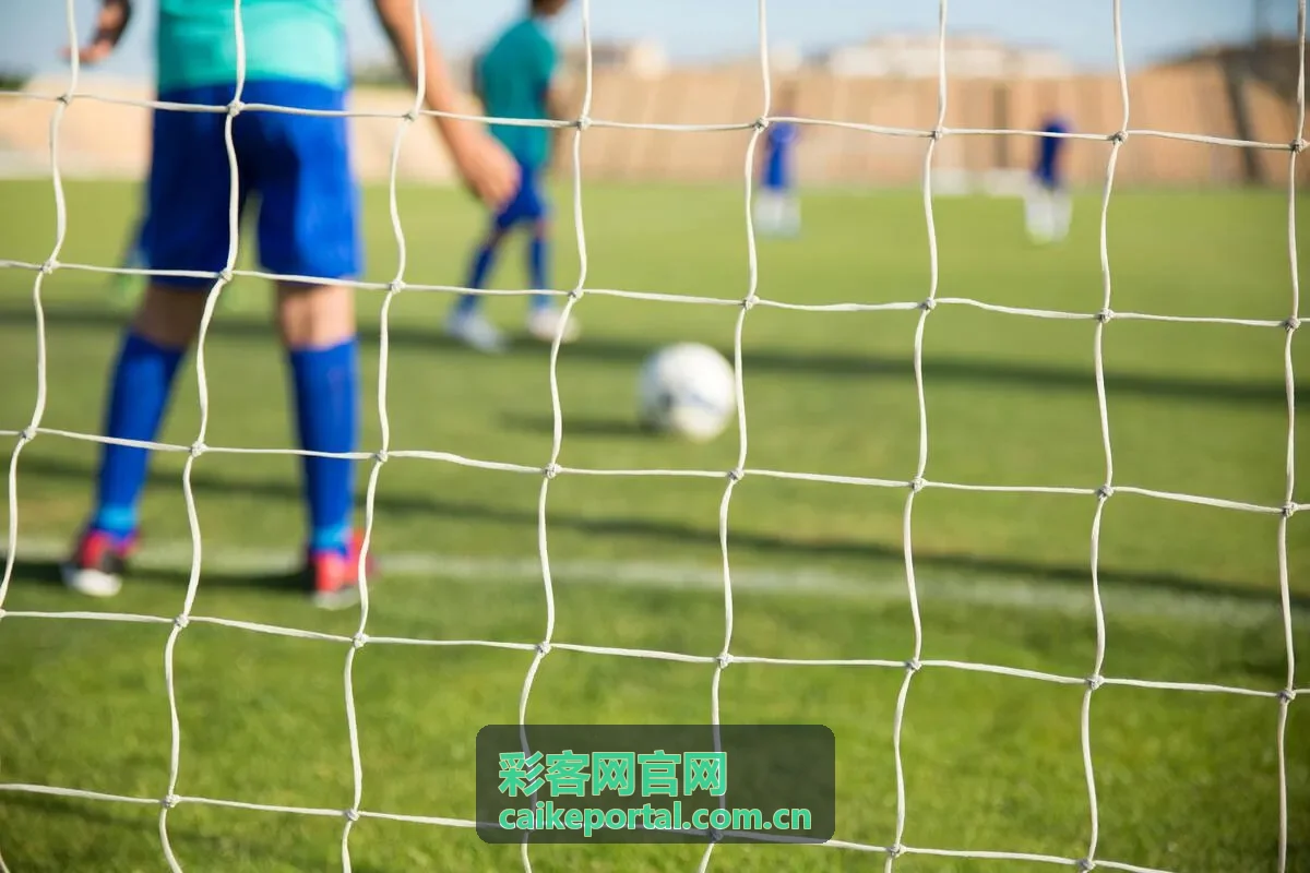 彩客网赛事信息整理界面